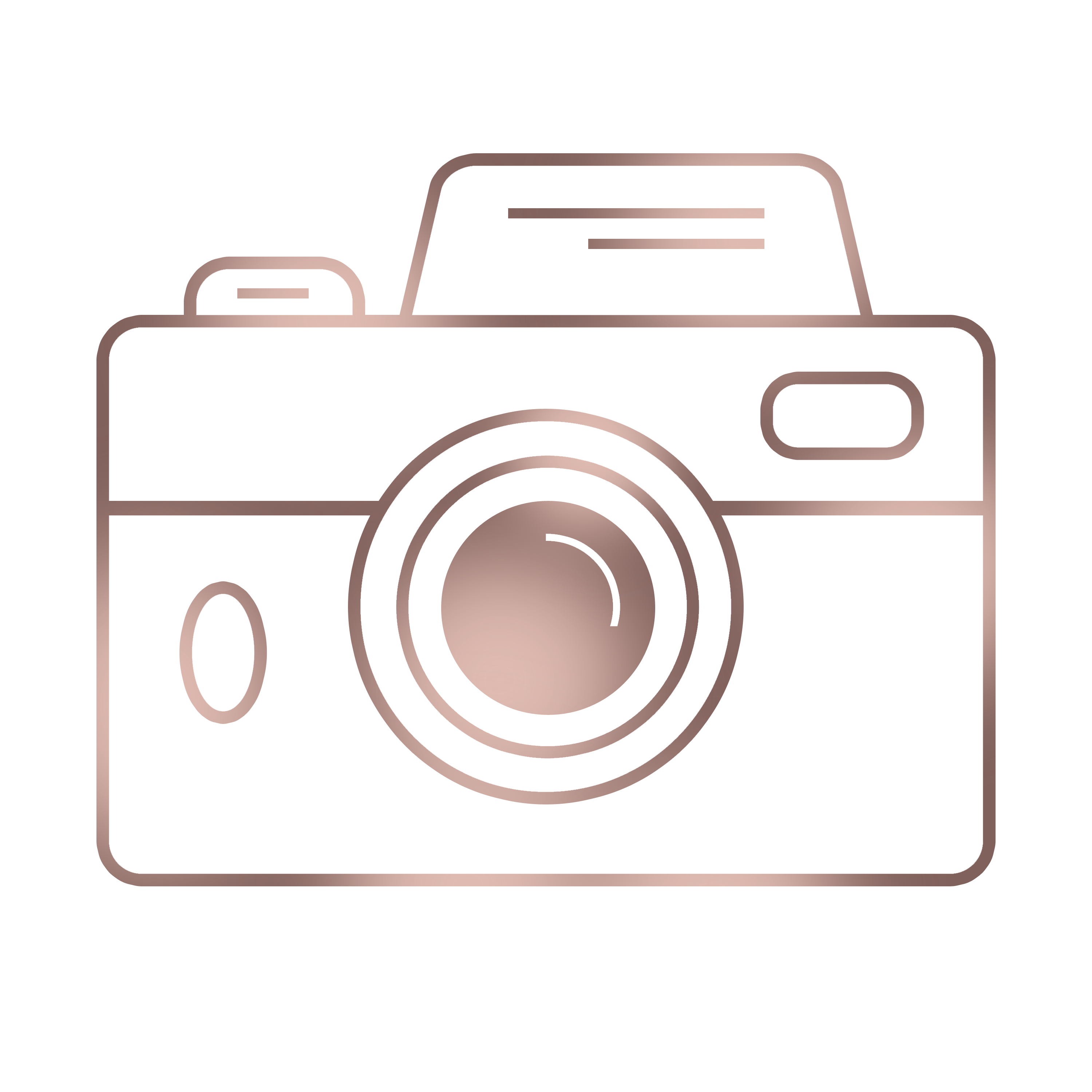 Camera icon
